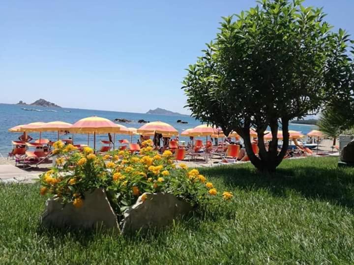 Marina'S Apartment Ogliastra Lotzorai Exterior photo